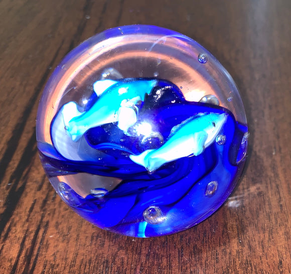 Dolphins Blue Swirl