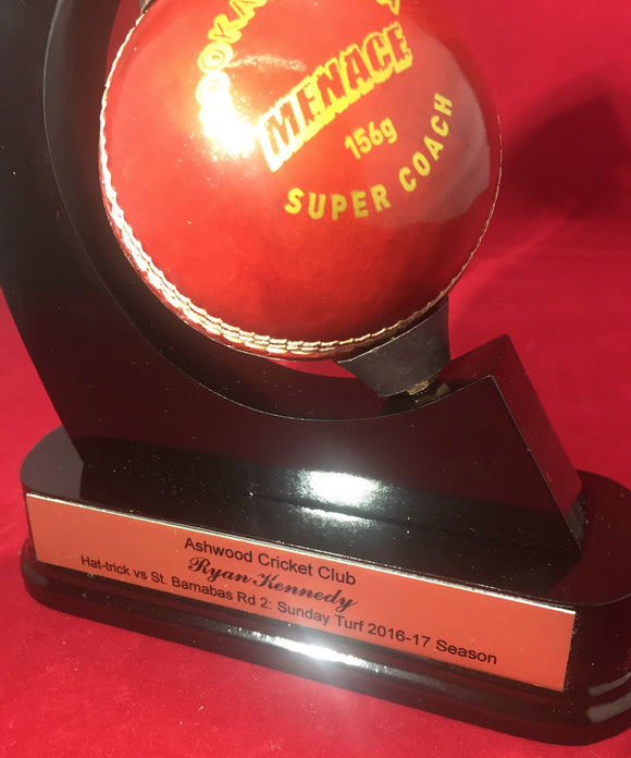 Sports Ball display holder Cricket Baseball Tennis COACHES GIFT Special Award