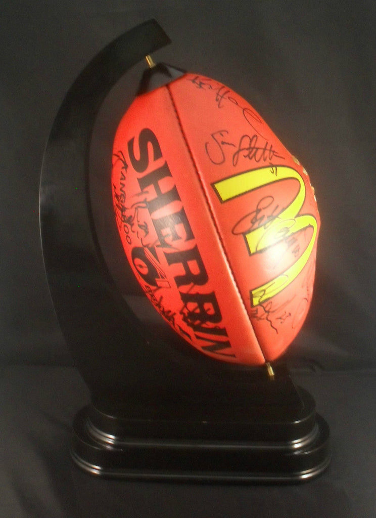 Sports Ball display holder Football AFL - Great COACHES GIFT
